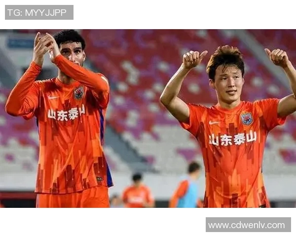 热火将在未来激烈招兵买马，多名内线球员成为球队目标