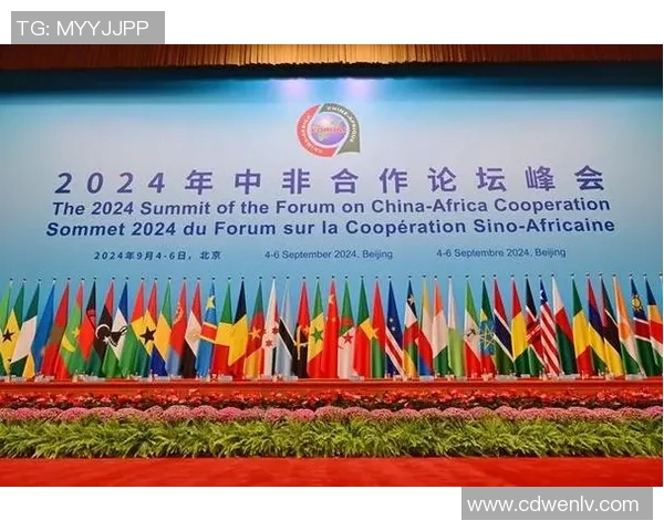 探索英非联的多元合作与发展潜力促进中非关系新篇章 探索英非联的多元合作与发展潜力促进中非关系新篇章