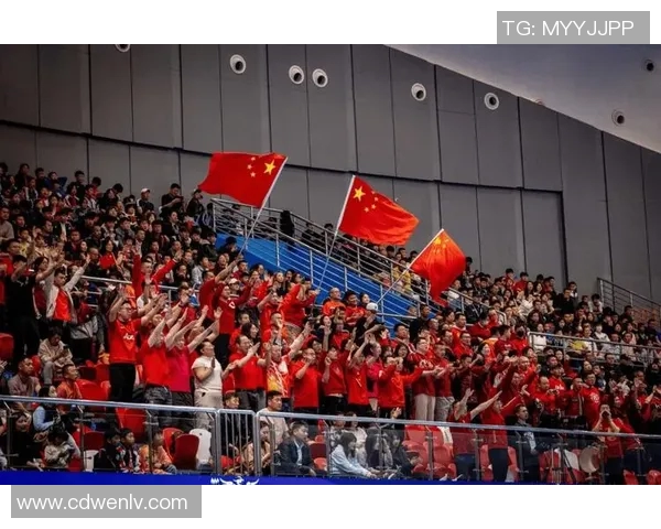 斯托克城迎战什队全力争胜期待精彩对决与球迷共庆足球盛宴 斯托克城迎战什队全力争胜期待精彩对决与球迷共庆足球盛宴