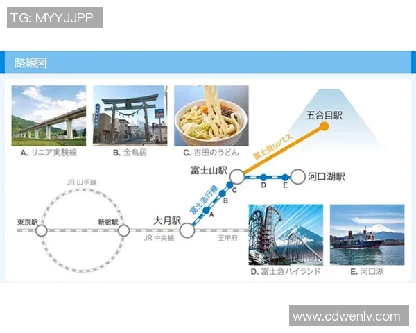 探索3D丹东全图牛彩网的魅力与实用性，带你领略全新视角的城市风貌与文化底蕴