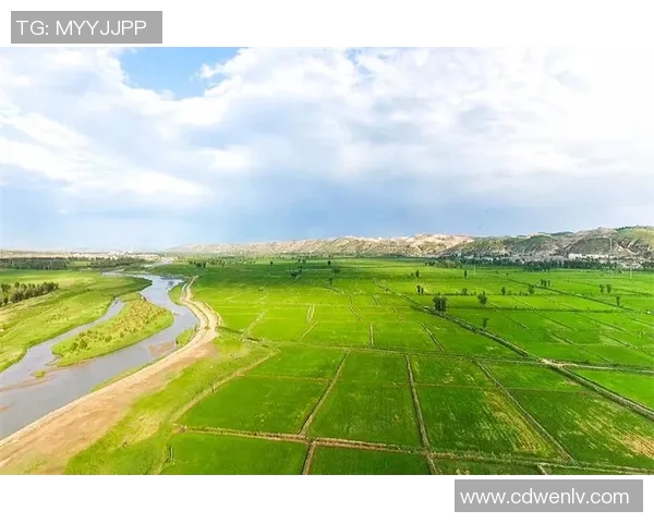 吉林九台农商银行助力乡村振兴与地方经济发展新篇章