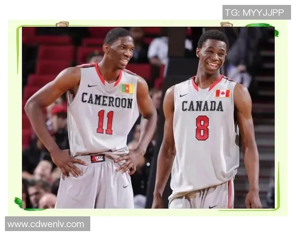 乔尔恩比德的篮球之路：从非洲少年到NBA巨星的辉煌历程