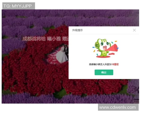 小雅精彩直播足球比赛瞬间回顾与精彩解说分享